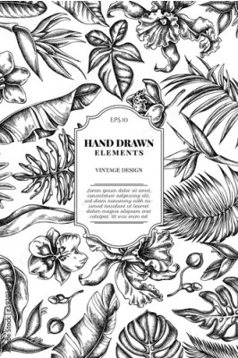Papier peint  Card design with black and white monstera, banana palm leaves, strelitzia, heliconia, tropical palm leaves, orchid