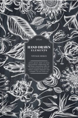 Papier peint  Card design with chalk african daisies, fuchsia, gloriosa, king protea, anthurium, strelitzia