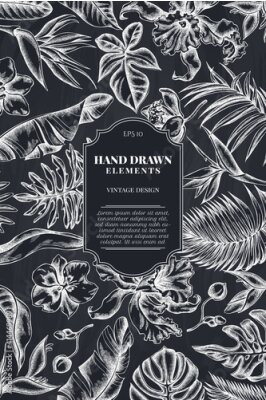 Papier peint  Card design with chalk monstera, banana palm leaves, strelitzia, heliconia, tropical palm leaves, orchid