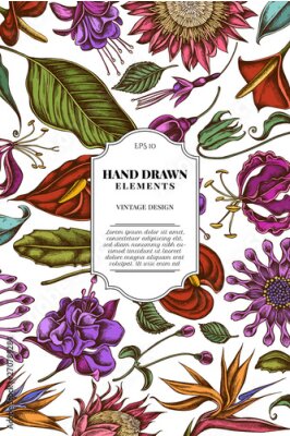 Papier peint  Card design with colored african daisies, fuchsia, gloriosa, king protea, anthurium, strelitzia