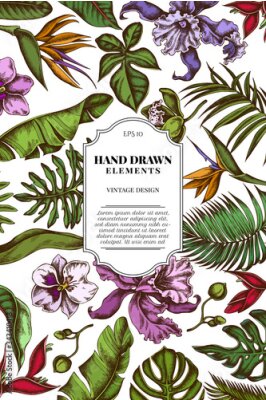 Papier peint  Card design with colored monstera, banana palm leaves, strelitzia, heliconia, tropical palm leaves, orchid