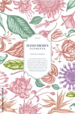 Papier peint  Card design with pastel african daisies, fuchsia, gloriosa, king protea, anthurium, strelitzia