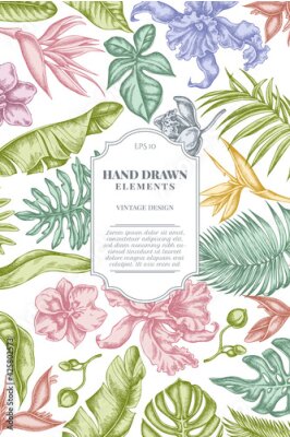 Papier peint  Card design with pastel monstera, banana palm leaves, strelitzia, heliconia, tropical palm leaves, orchid