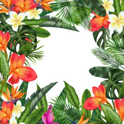 Papier peint  Card template, floral border of green tropical leaves and bright exotic flowers (plumeria, orchids, strelitzia, canna, banana flower), illustration on white background