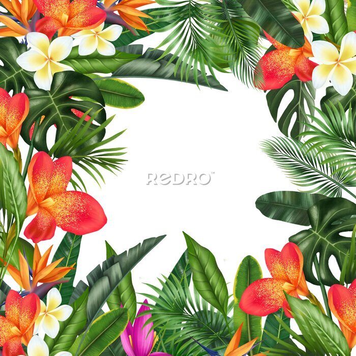Papier peint  Card template, floral border of green tropical leaves and bright exotic flowers (plumeria, orchids, strelitzia, canna, banana flower), illustration on white background