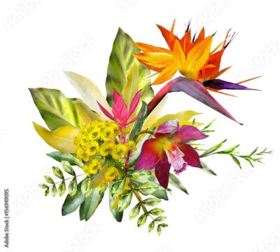 Papier peint  Carte avec illustration florale. Bouquet de fleurs isolé sur fond blanc. Feuilles et bourgeons. Composition exotique pour invitation