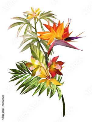 Papier peint  Carte avec illustration florale. Bouquet de fleurs isolé sur fond blanc. Feuilles et bourgeons. Composition exotique pour invitation