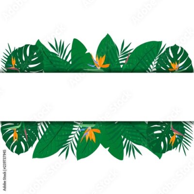 Papier peint  Carte de plante tropicale. Cadre horizontal dessiné à la main de plantes exotiques et fleur de Strelitzia. Modèle d'été pour la publicité, conception, fête, affiche, print, web. Vecteur isolé sur fond