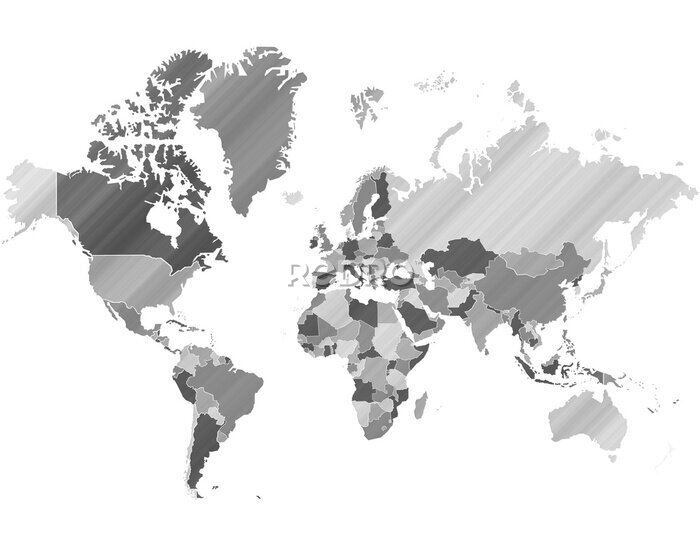 Papier peint  Carte Monde camieu Argent Métal