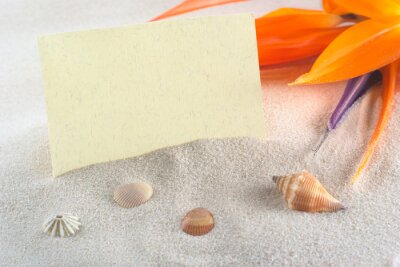 Papier peint  Carte vierge avec la fleur de paradis (Strelitzia reginae lat.)