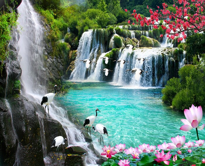 Papier peint  Cascade 3d et oiseaux