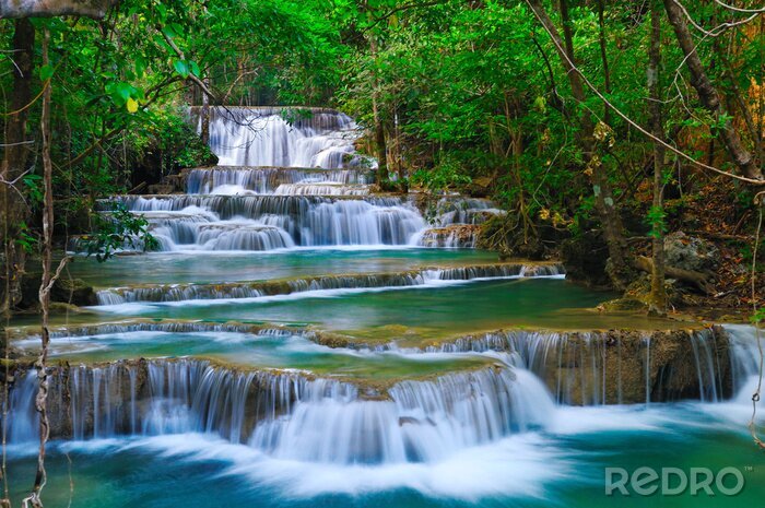 Papier peint  Cascade dans une forêt dense en Thaïlande