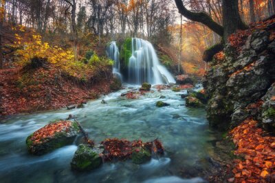 Cascade forestière en automne