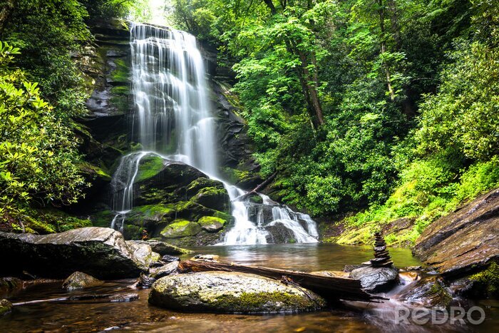 Papier peint  Cascade supérieure de Catawba dans la forêt