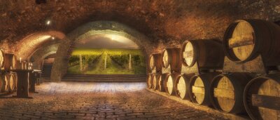 Papier peint  Cave à vin