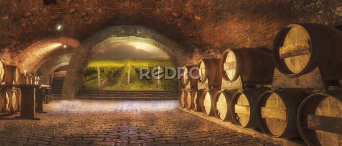 Papier peint  Cave à vin