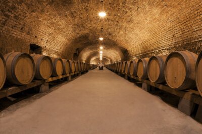 Papier peint  Cave à vin avec barrique de vin