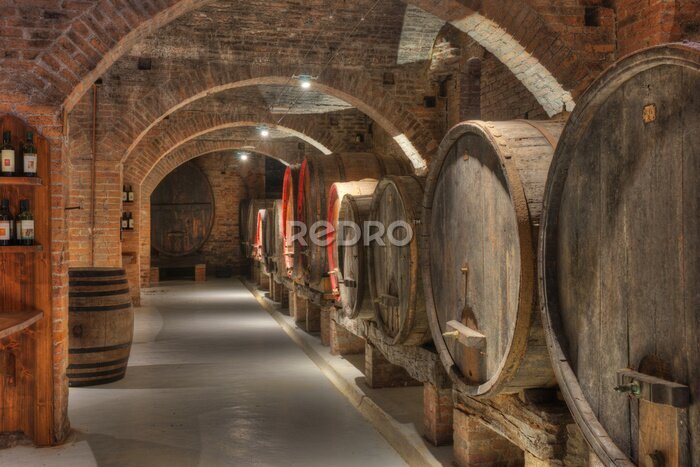 Papier peint  Cave avec des tonneaux de vin