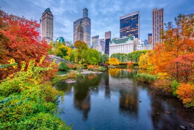 Central Park Autumn à New York City