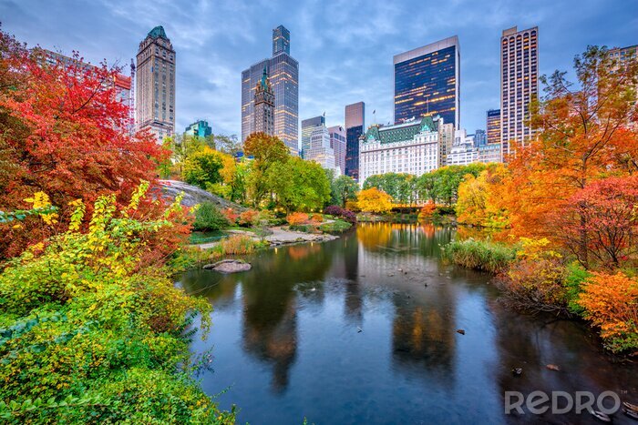 Papier peint  Central Park Autumn à New York City