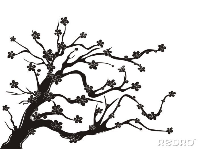 Papier peint  cerise silhouette d'arbre de fleurs