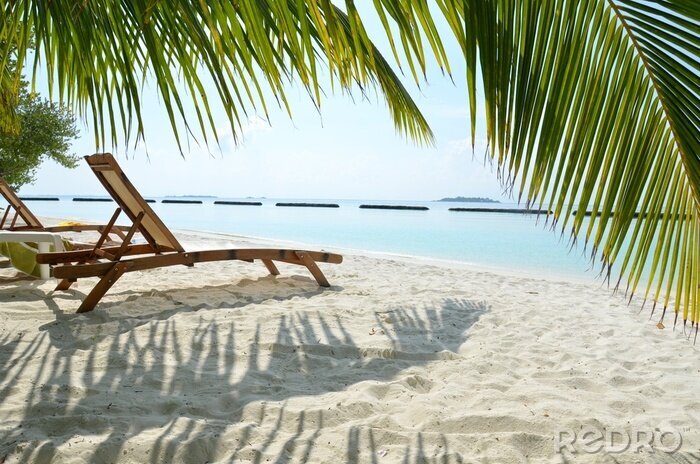 Papier peint  Chaises longues sur la plage en bord de mer