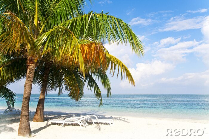 Papier peint  Chaises longues sur la plage et la mer