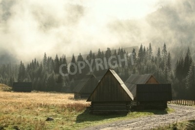 Papier peint  Chalets de montagne sur fond de forêt