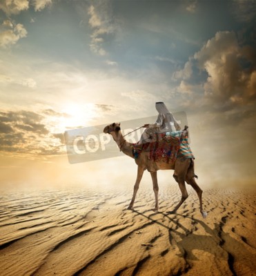 Papier peint  Chameau bédouin et le désert