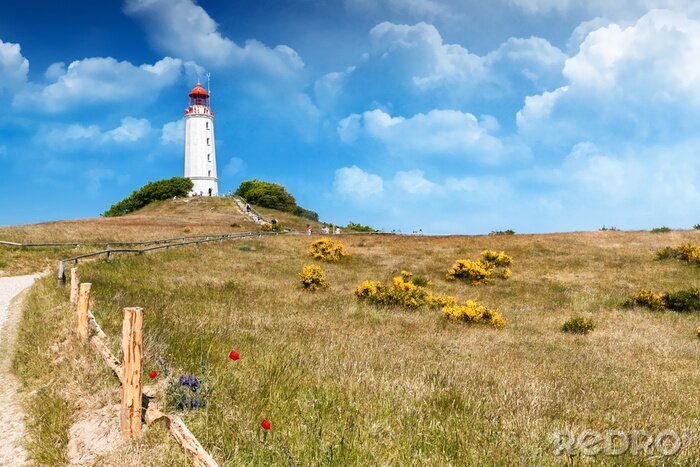 Papier peint  Champ au phare