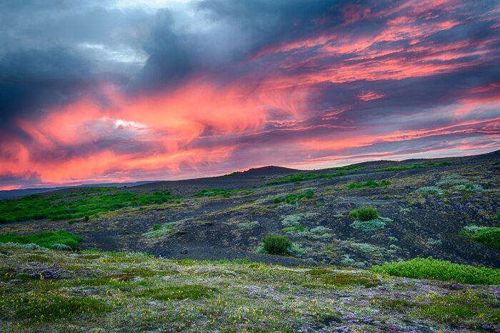 Papier peint  Champ avec verdure sur fond de ciel
