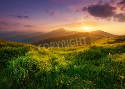 Papier peint  Champ d'herbe et montagnes au coucher du soleil