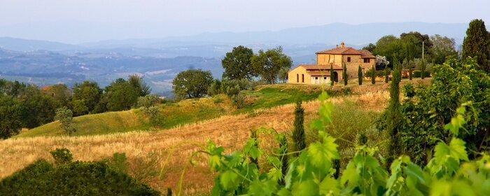 Papier peint  Champ de la Toscane
