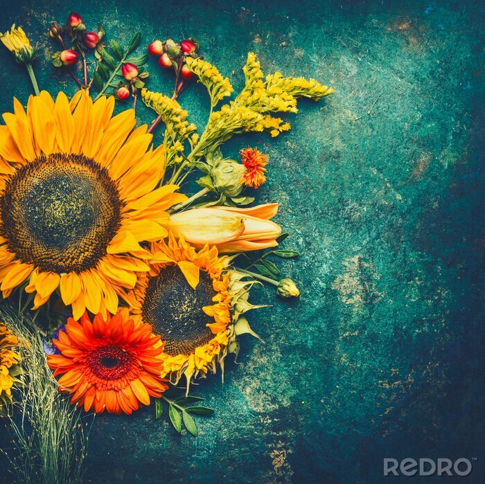 Papier peint  Champ de tournesols sur fond vert