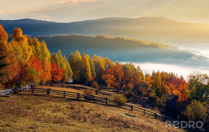 Papier peint  champ rural et verger en automne au lever du soleil. campagne montagneuse avec brouillard dans le lointain wally