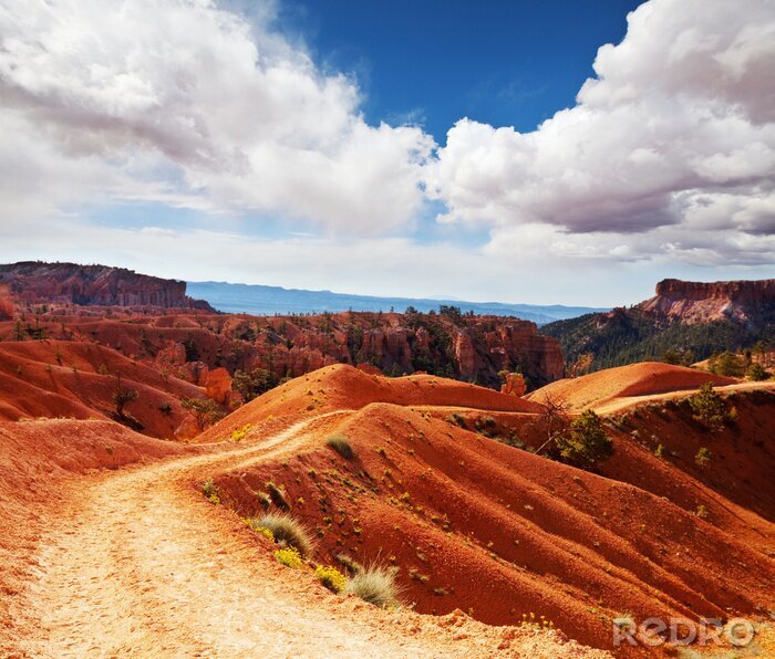 Papier peint  Champs secs sur les collines