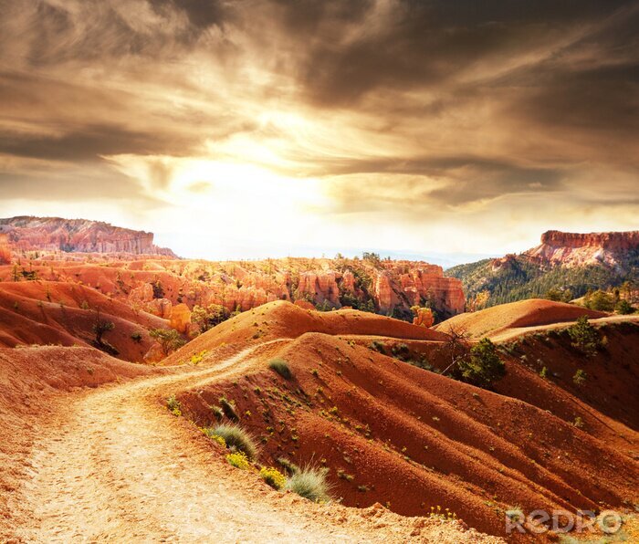 Papier peint  Champs sur les collines