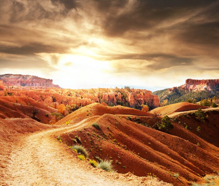 Papier peint  Champs sur les collines