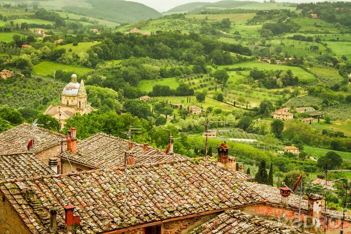 Papier peint  Champs verts à Vlterra