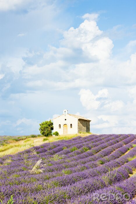 Papier peint  chapelle avec champ de lavande, Plateau de Valensole, Provence, Fran