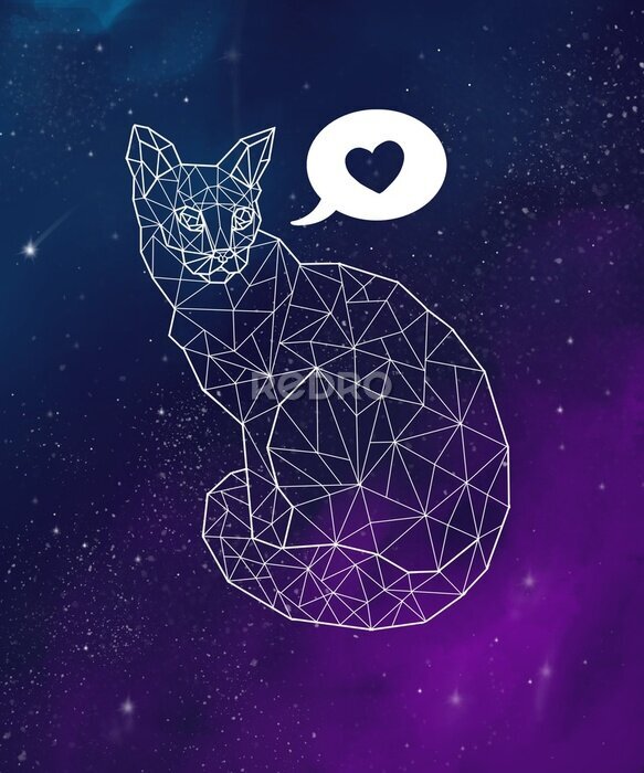 Papier peint  Chat géométrique sur le fond de la galaxie