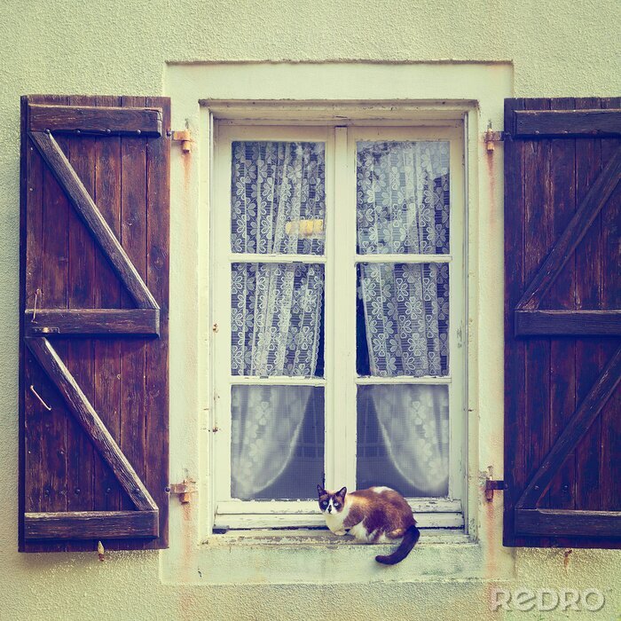 Papier peint  Chat sur le rebord d'une vieille fenêtre