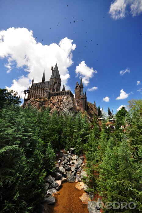 Papier peint  Château dans un monde magique