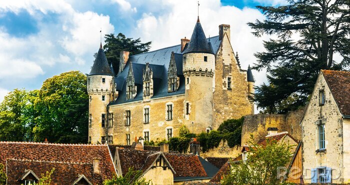 Papier peint  Château romantique en France