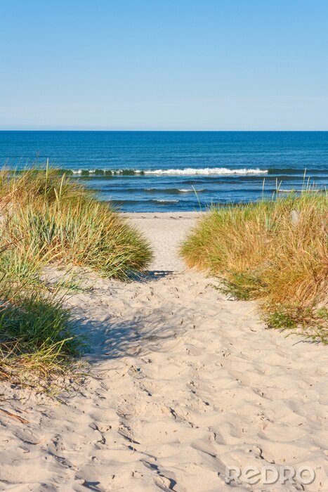 Papier peint  Chemin à travers la plage vers la mer