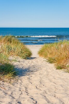 Papier peint  Chemin à travers la plage vers la mer