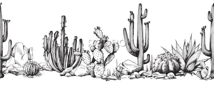 Papier peint  Chemin des cactus