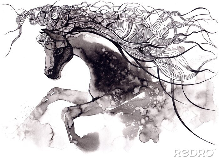 Papier peint  Cheval