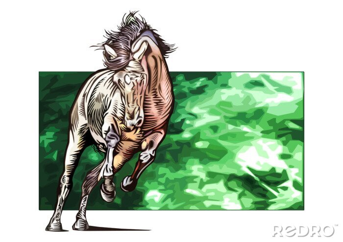 Papier peint  Cheval sur un fond vert