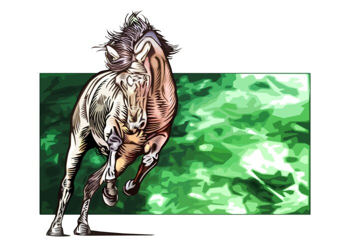 Papier peint  Cheval sur un fond vert